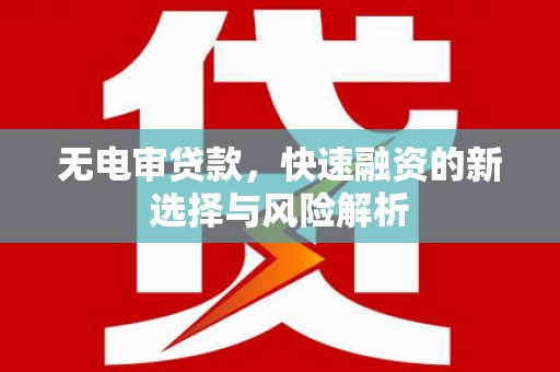 泰山无电审贷款，快速融资的新选择与风险解析
