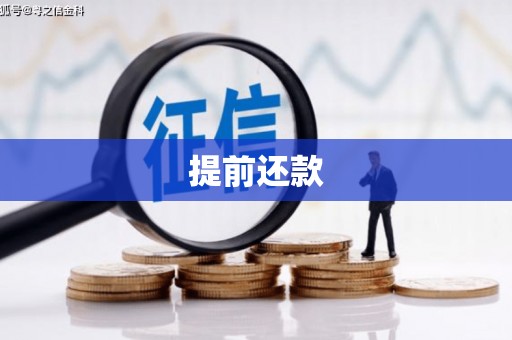 泰山提前还款