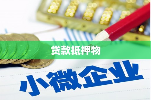 泰山贷款抵押物