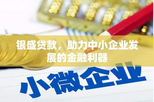 泰山银盛贷款，助力中小企业发展的金融利器