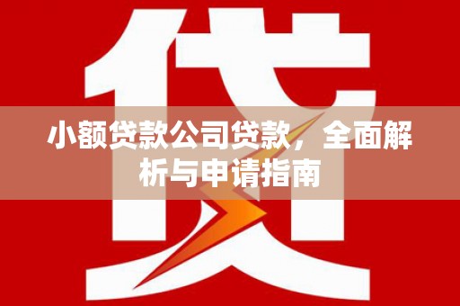 泰山小额贷款公司贷款，全面解析与申请指南