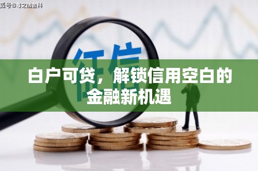 泰山白户可贷，解锁信用空白的金融新机遇