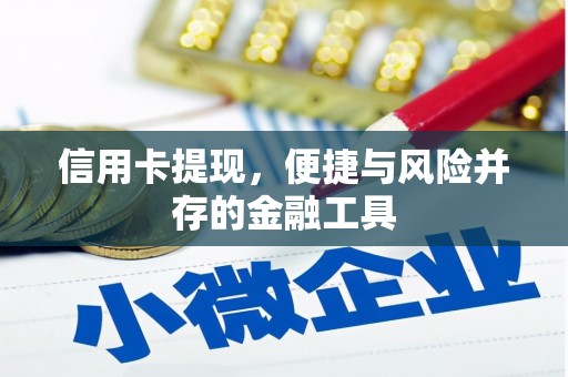 泰山信用卡提现，便捷与风险并存的金融工具