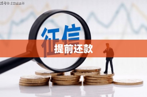泰山提前还款