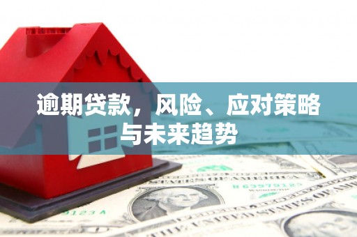 泰山逾期贷款，风险、应对策略与未来趋势