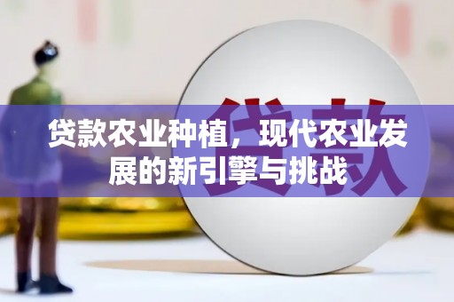 泰山贷款农业种植，现代农业发展的新引擎与挑战
