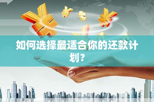 泰山如何选择最适合你的还款计划？