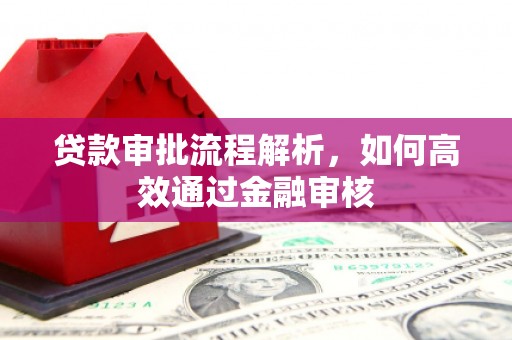 泰山贷款审批流程解析，如何高效通过金融审核