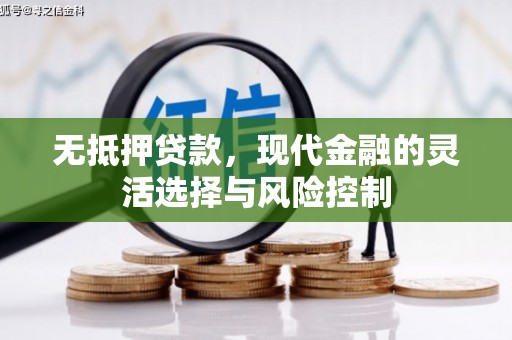 泰山无抵押贷款，现代金融的灵活选择与风险控制