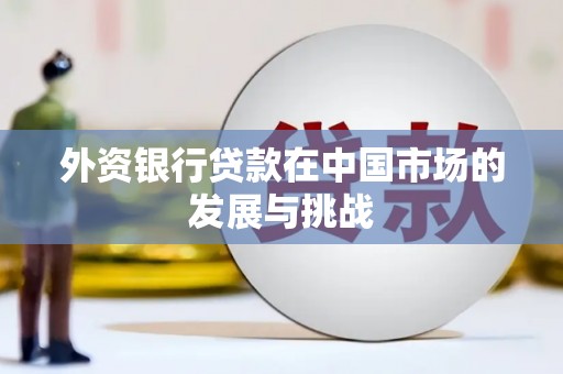 泰山外资银行贷款在中国市场的发展与挑战