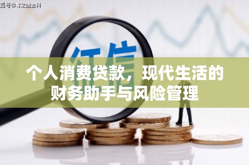 泰山个人消费贷款，现代生活的财务助手与风险管理