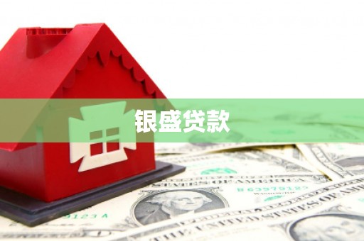 泰山银盛贷款