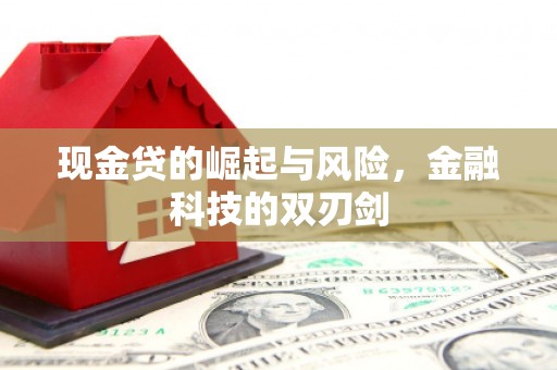 泰山现金贷的崛起与风险，金融科技的双刃剑