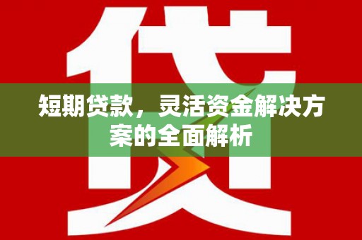 泰山短期贷款，灵活资金解决方案的全面解析