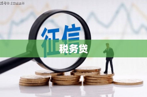 泰山税务贷