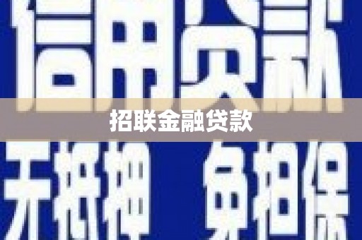 泰山招联金融贷款