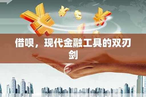 泰山借呗，现代金融工具的双刃剑
