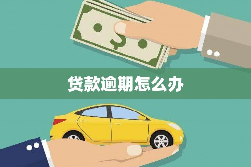 泰山贷款逾期怎么办