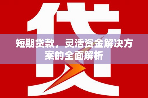 泰山短期贷款，灵活资金解决方案的全面解析