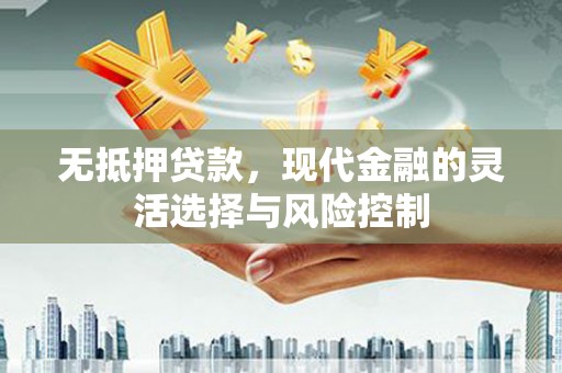 泰山无抵押贷款，现代金融的灵活选择与风险控制
