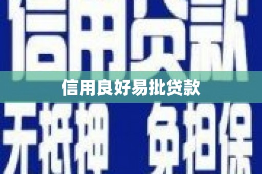 泰山信用良好易批贷款