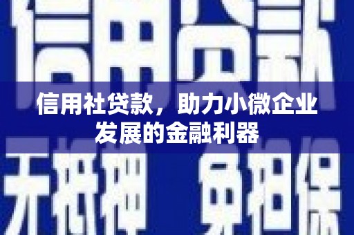 泰山信用社贷款，助力小微企业发展的金融利器