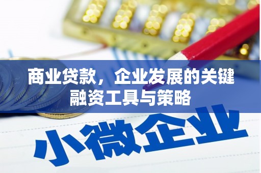 泰山商业贷款，企业发展的关键融资工具与策略