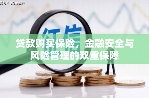 泰山贷款购买保险，金融安全与风险管理的双重保障