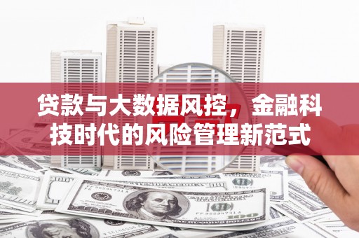 泰山贷款与大数据风控，金融科技时代的风险管理新范式