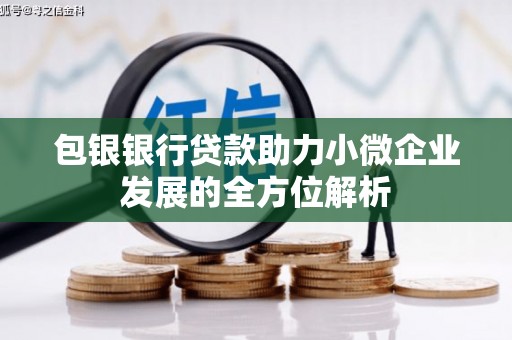 泰山包银银行贷款助力小微企业发展的全方位解析