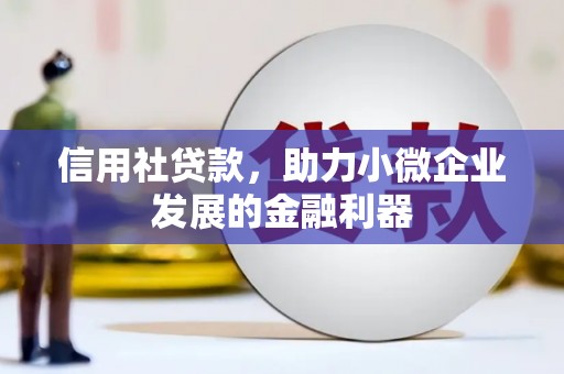 泰山信用社贷款，助力小微企业发展的金融利器