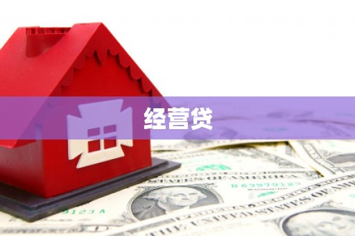 泰山经营贷