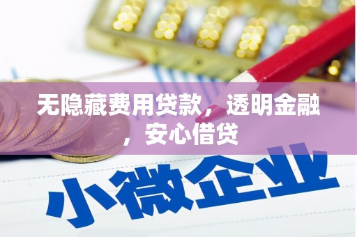 泰山无隐藏费用贷款，透明金融，安心借贷