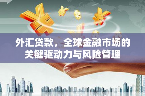 泰山外汇贷款，全球金融市场的关键驱动力与风险管理
