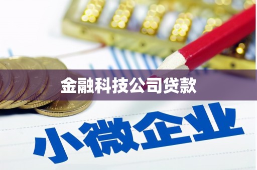 泰山金融科技公司贷款