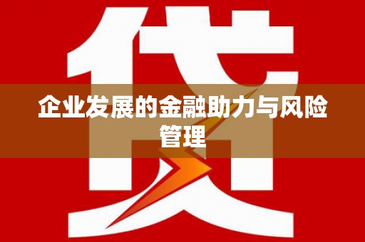 泰山企业发展的金融助力与风险管理