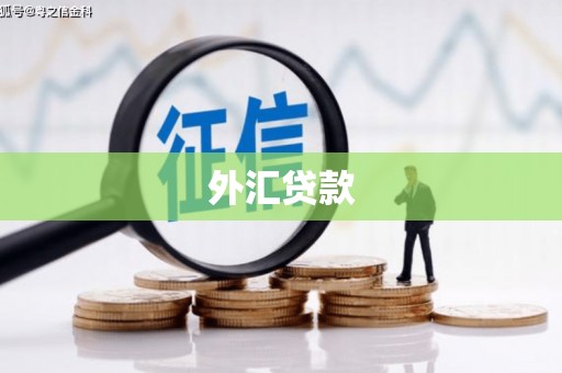 泰山外汇贷款