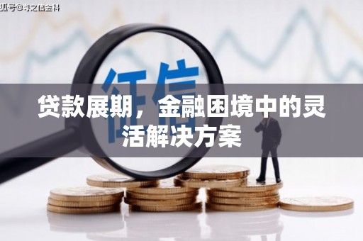 泰山贷款展期，金融困境中的灵活解决方案
