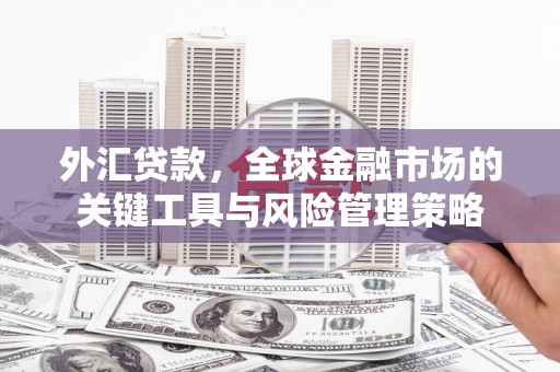 泰山外汇贷款，全球金融市场的关键工具与风险管理策略