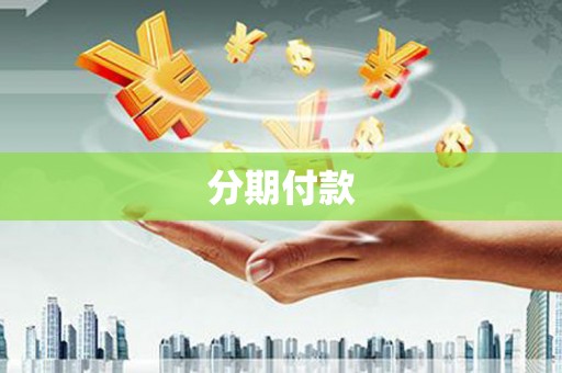泰山分期付款