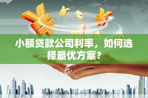 泰山小额贷款公司利率，如何选择最优方案？