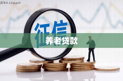 泰山养老贷款