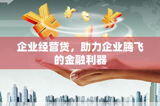 泰山企业经营贷，助力企业腾飞的金融利器