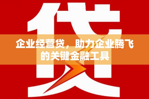 泰山企业经营贷，助力企业腾飞的关键金融工具