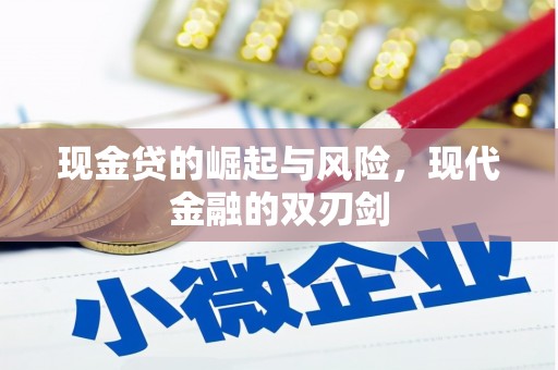 泰山现金贷的崛起与风险，现代金融的双刃剑