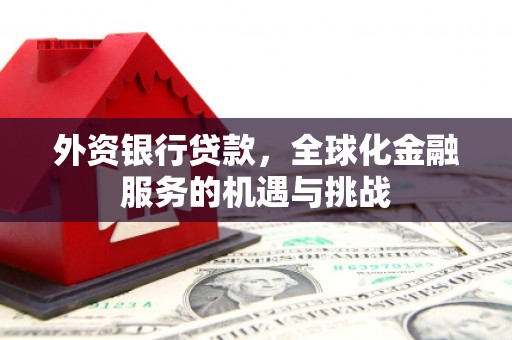 泰山外资银行贷款，全球化金融服务的机遇与挑战