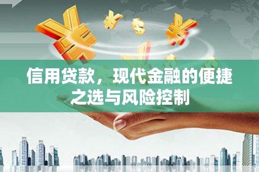泰山信用贷款，现代金融的便捷之选与风险控制