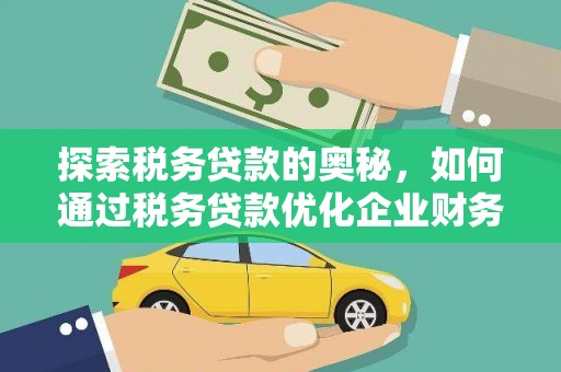 泰山探索税务贷款的奥秘，如何通过税务贷款优化企业财务