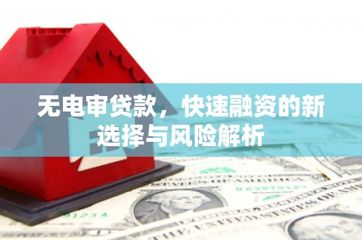 泰山无电审贷款，快速融资的新选择与风险解析
