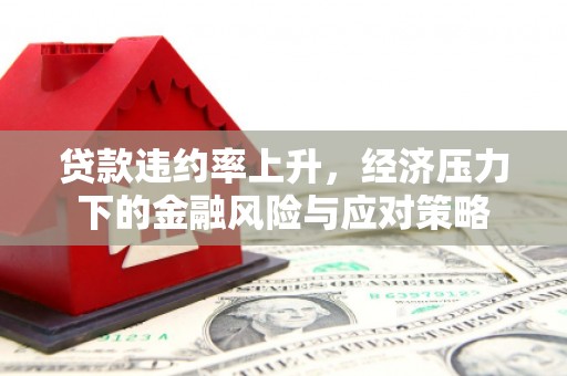 泰山贷款违约率上升，经济压力下的金融风险与应对策略